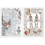 Clear Stamp Set 4"x6" Human & Nature